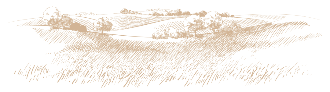 La filiera Cuore dell'Isola